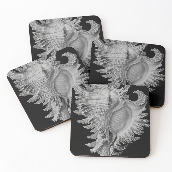 Item preview, Ernst Haeckel designed and sold by Art-KaBoom.