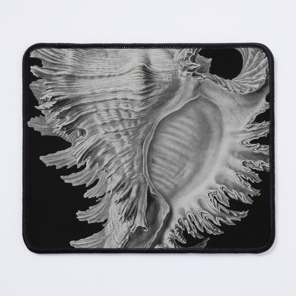 Item preview, Ernst Haeckel designed and sold by Art-KaBoom.