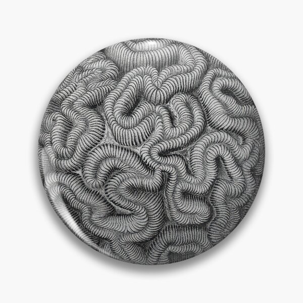 Item preview, Ernst Haeckel designed and sold by Art-KaBoom.