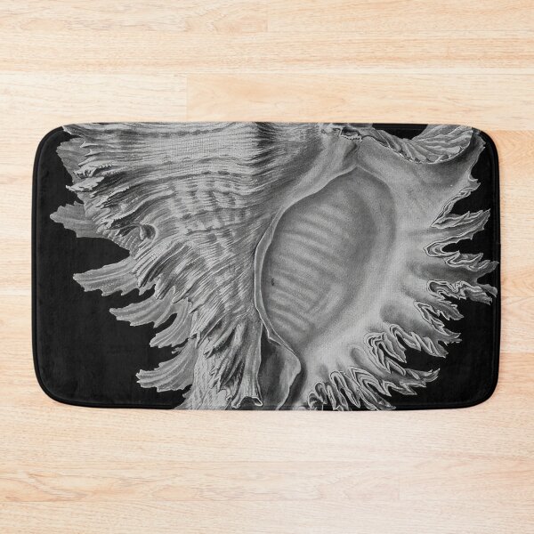 Item preview, Ernst Haeckel designed and sold by Art-KaBoom.