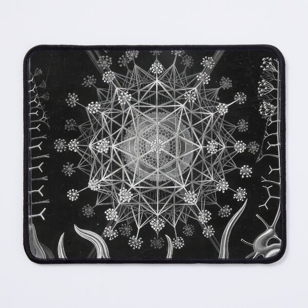 Item preview, Ernst Haeckel designed and sold by Art-KaBoom.