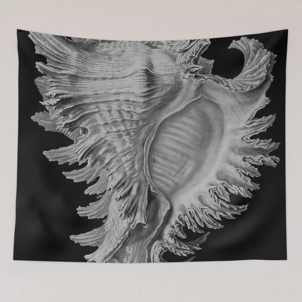 Item preview, Ernst Haeckel designed and sold by Art-KaBoom.