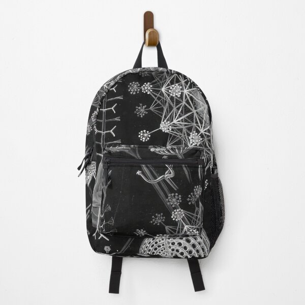 Item preview, Ernst Haeckel designed and sold by Art-KaBoom.