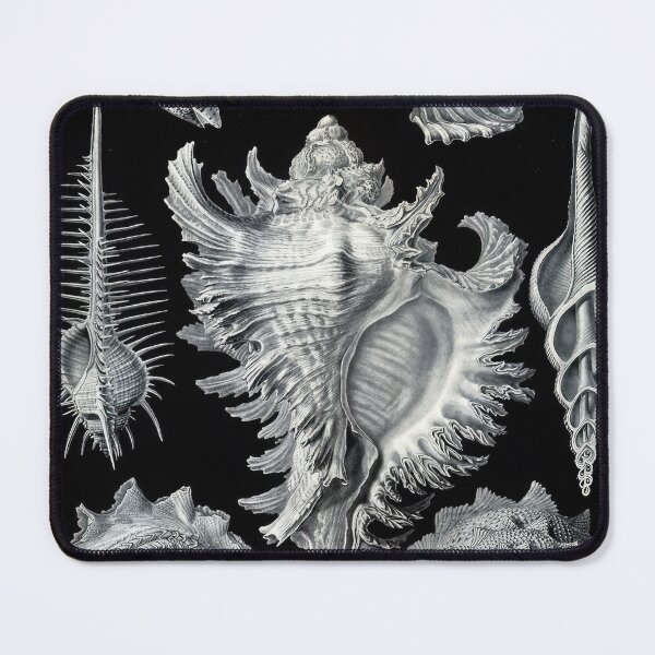 Item preview, Ernst Haeckel designed and sold by Art-KaBoom.
