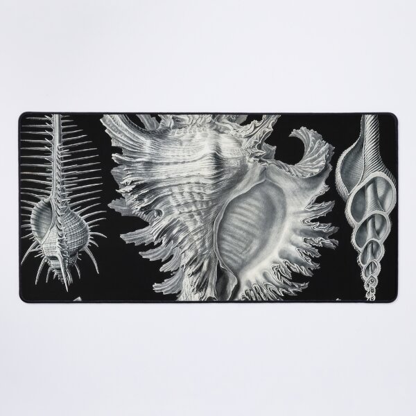 Item preview, Ernst Haeckel designed and sold by Art-KaBoom.