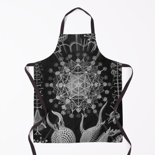 Item preview, Ernst Haeckel designed and sold by Art-KaBoom.