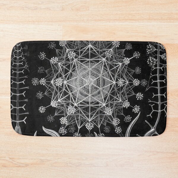 Item preview, Ernst Haeckel designed and sold by Art-KaBoom.