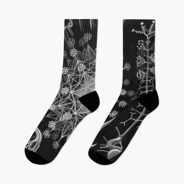 Item preview, Ernst Haeckel designed and sold by Art-KaBoom.