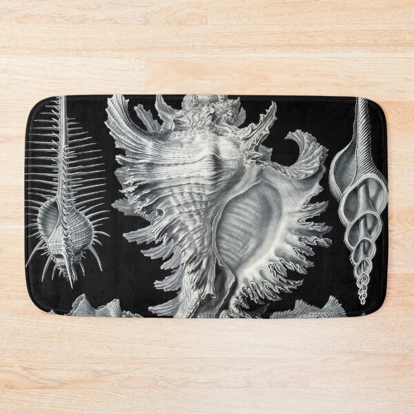Item preview, Ernst Haeckel designed and sold by Art-KaBoom.