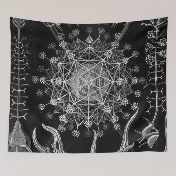 Item preview, Ernst Haeckel designed and sold by Art-KaBoom.