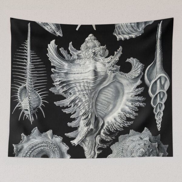 Item preview, Ernst Haeckel designed and sold by Art-KaBoom.
