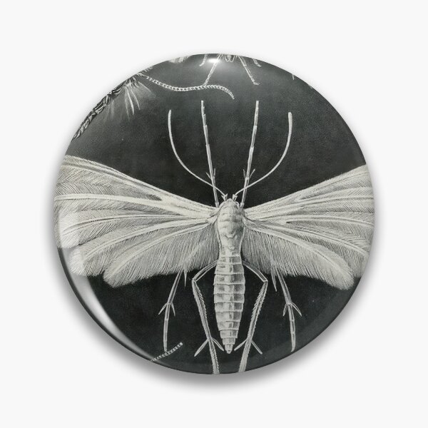 Item preview, Ernst Haeckel designed and sold by Art-KaBoom.