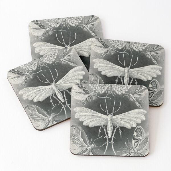Item preview, Ernst Haeckel designed and sold by Art-KaBoom.