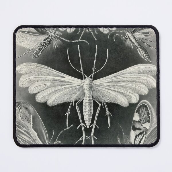 Item preview, Ernst Haeckel designed and sold by Art-KaBoom.