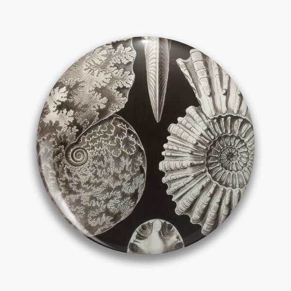 Item preview, Ernst Haeckel designed and sold by Art-KaBoom.