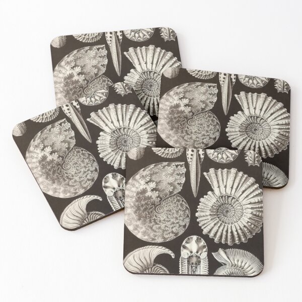 Item preview, Ernst Haeckel designed and sold by Art-KaBoom.