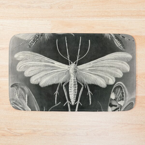 Item preview, Ernst Haeckel designed and sold by Art-KaBoom.