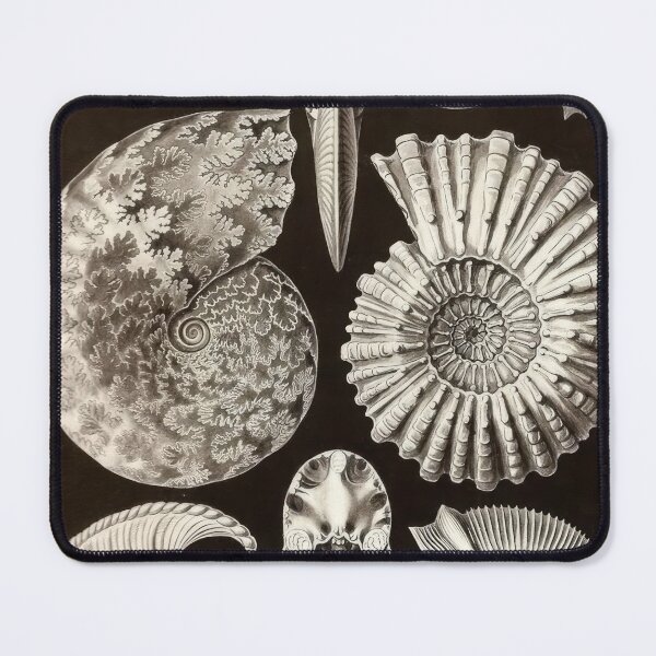 Item preview, Ernst Haeckel designed and sold by Art-KaBoom.