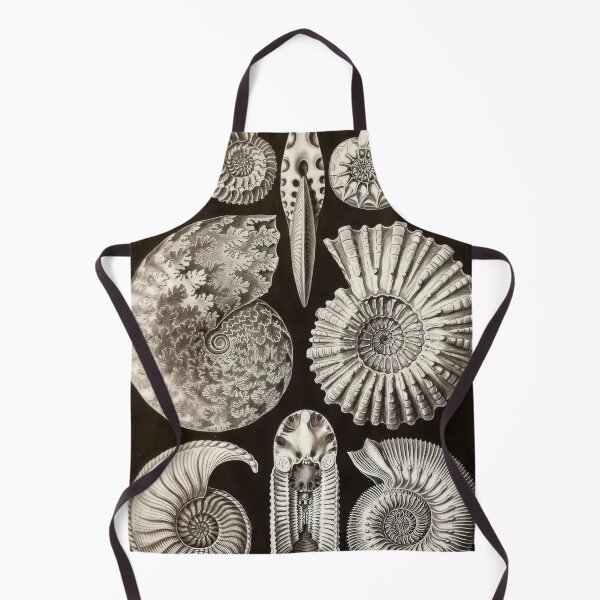 Item preview, Ernst Haeckel designed and sold by Art-KaBoom.