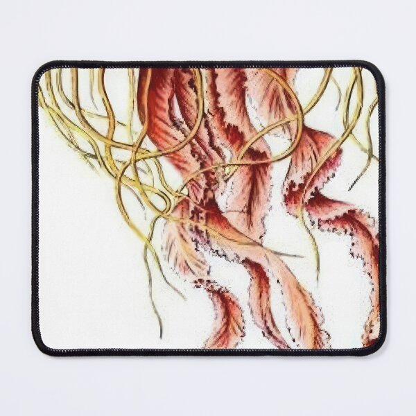 Item preview, Ernst Haeckel designed and sold by Art-KaBoom.
