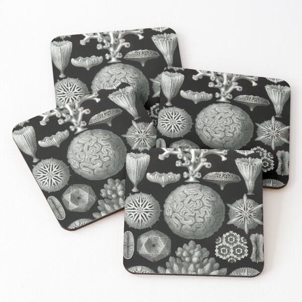 Item preview, Ernst Haeckel designed and sold by Art-KaBoom.