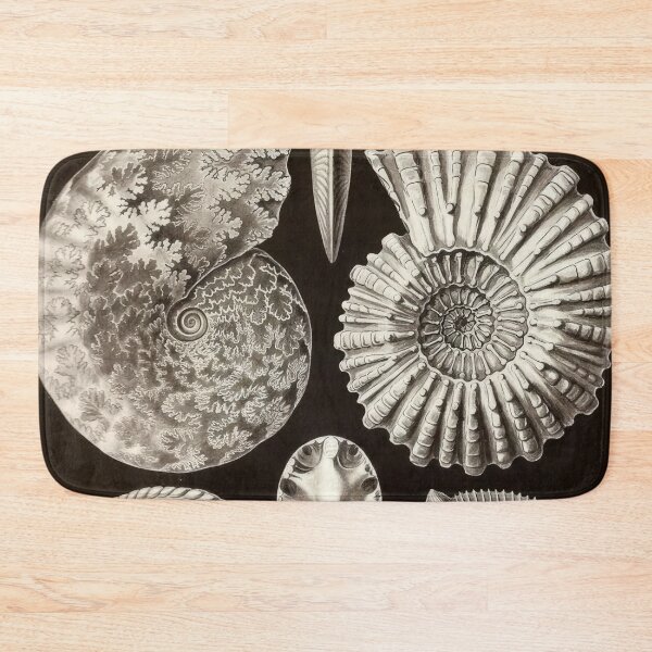 Item preview, Ernst Haeckel designed and sold by Art-KaBoom.