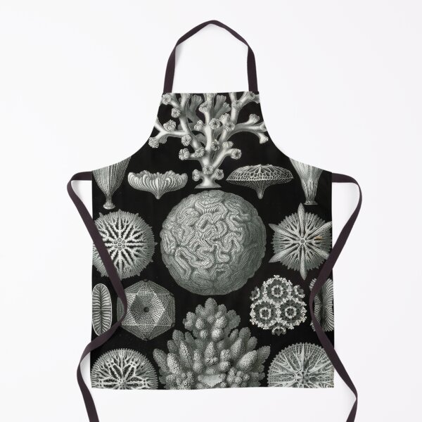 Item preview, Ernst Haeckel designed and sold by Art-KaBoom.