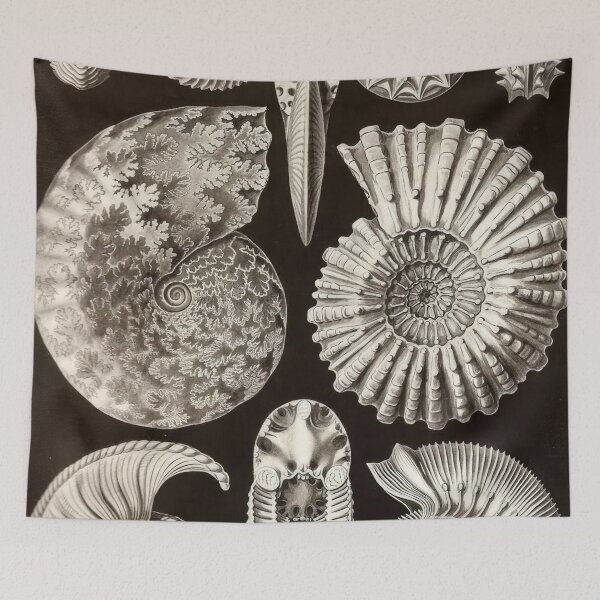 Item preview, Ernst Haeckel designed and sold by Art-KaBoom.