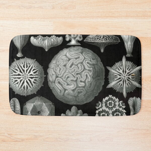 Item preview, Ernst Haeckel designed and sold by Art-KaBoom.