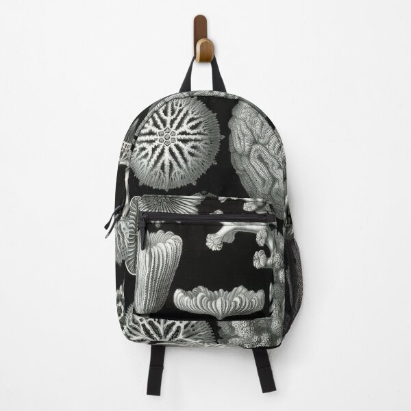 Item preview, Ernst Haeckel designed and sold by Art-KaBoom.