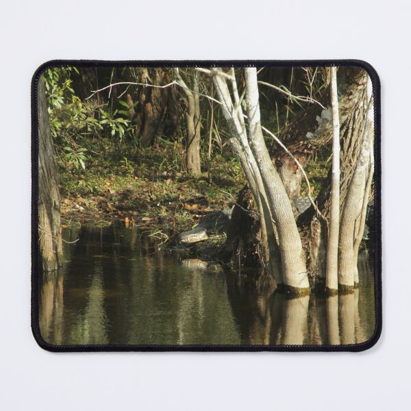 Item preview, Gator Perch designed and sold by MatthewThomasDaniels.