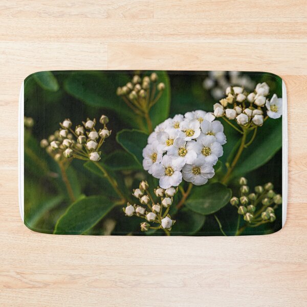 Item preview, Bridal Wreath — White Spirea in Full Bloom designed and sold by Rabee Khalil Photography.