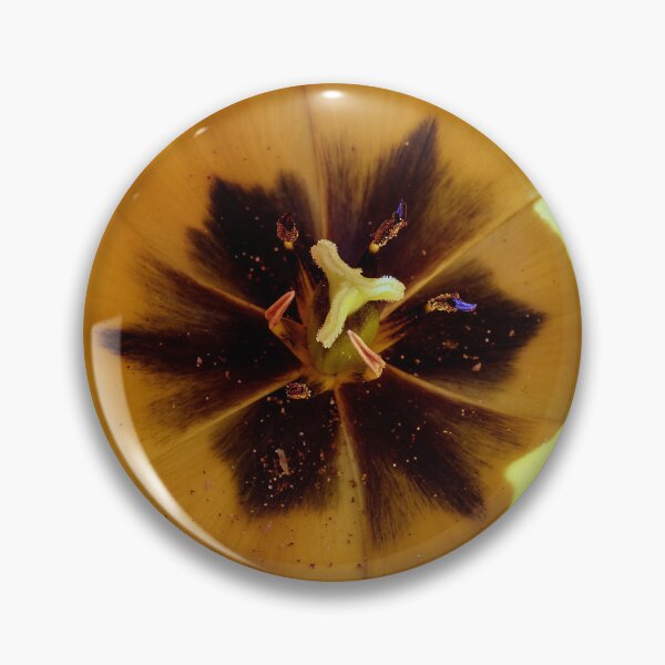 Item preview, Macro Photo of a Single Tulip designed and sold by Tom McPherson Photography.