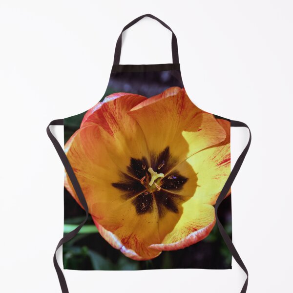 Item preview, Macro Photo of a Single Tulip designed and sold by Tom McPherson Photography.