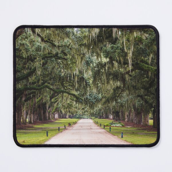 Item preview, Live Oak Avenue Wall Art – Spanish Moss Tree Tunnel designed and sold by AshleyMobleyArt.