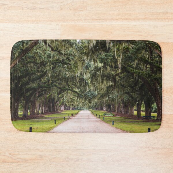 Item preview, Live Oak Avenue Wall Art – Spanish Moss Tree Tunnel designed and sold by AshleyMobleyArt.