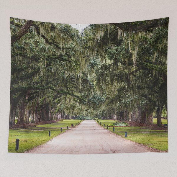 Item preview, Live Oak Avenue Wall Art – Spanish Moss Tree Tunnel designed and sold by AshleyMobleyArt.