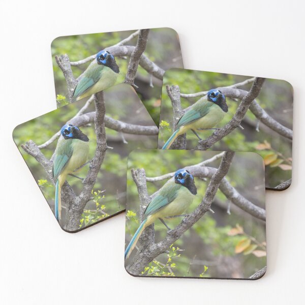Item preview, Tropical Green Jay Bird Close-Up on Branch designed and sold by Debra Martz.