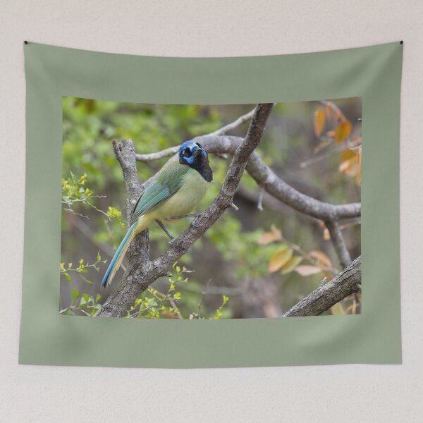 Item preview, Tropical Green Jay Bird Close-Up on Branch designed and sold by Debra Martz.
