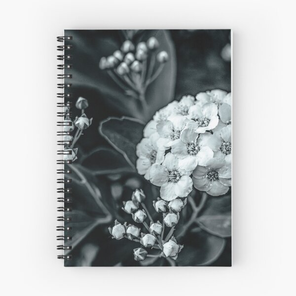 Item preview, Timeless Bloom — Spirea in Black and White designed and sold by Rabee Khalil Photography.