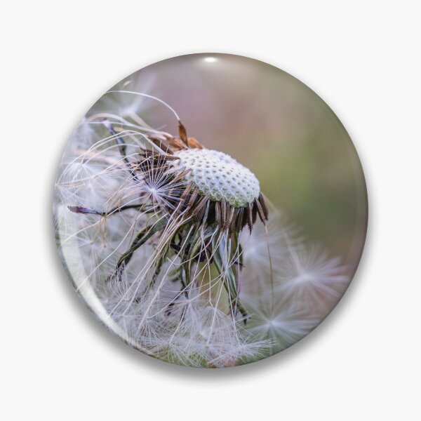 Item preview, Letting Go — Dandelion in the Wind designed and sold by Rabee Khalil Photography.