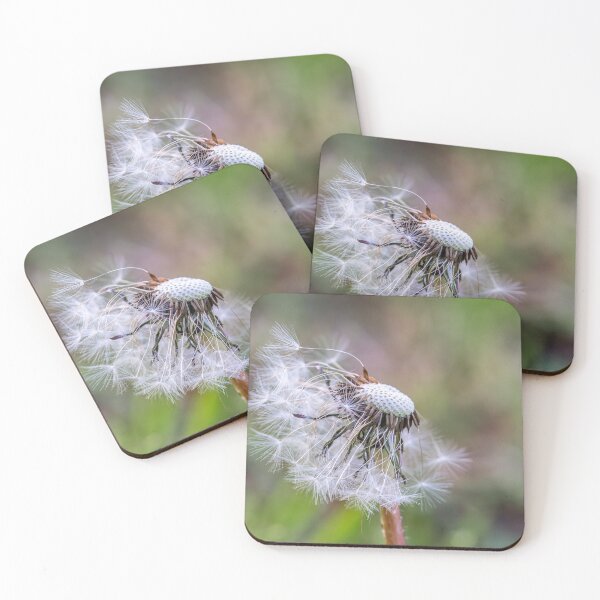 Item preview, Letting Go — Dandelion in the Wind designed and sold by Rabee Khalil Photography.