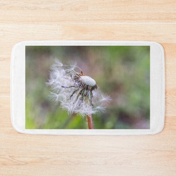 Item preview, Letting Go — Dandelion in the Wind designed and sold by Rabee Khalil Photography.