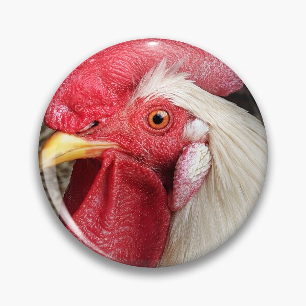 Item preview, Animal - Chicken - Cluck of the Italian designed and sold by Mike Savad Photography.