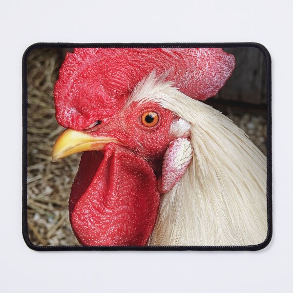 Item preview, Animal - Chicken - Cluck of the Italian designed and sold by Mike Savad Photography.