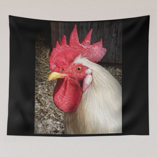 Item preview, Animal - Chicken - Cluck of the Italian designed and sold by Mike Savad Photography.