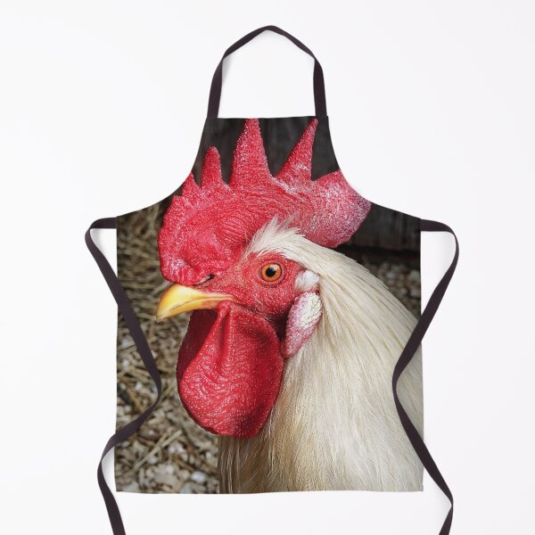 Item preview, Animal - Chicken - Cluck of the Italian designed and sold by Mike Savad Photography.