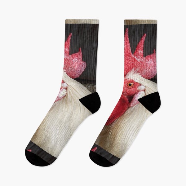 Item preview, Animal - Chicken - Cluck of the Italian designed and sold by Mike Savad Photography.
