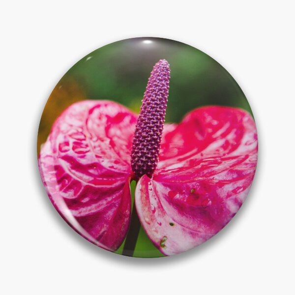 Item preview, Pink Anthurium Tropical Flower Garden Print designed and sold by AshleyMobleyArt.