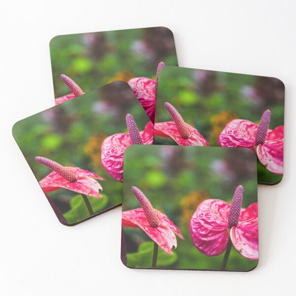 Item preview, Pink Anthurium Tropical Flower Garden Print designed and sold by AshleyMobleyArt.